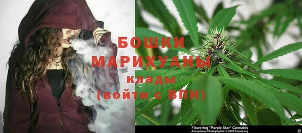спиды Няндома