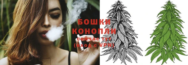 спиды Няндома