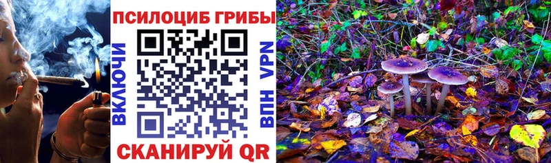 Галлюциногенные грибы Magic Shrooms  Беломорск 