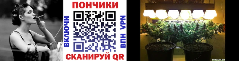 где продают наркотики  Беломорск  darknet официальный сайт  МАРИХУАНА SATIVA & INDICA 